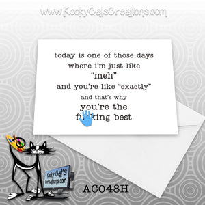 Meh (AC048H) - ADULT Blank Notecard -  Sassy Not Classy, Funny Greeting Card