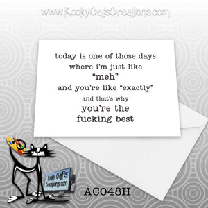 Meh (AC048H) - ADULT Blank Notecard -  Sassy Not Classy, Funny Greeting Card