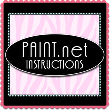 Paint.net Instructions